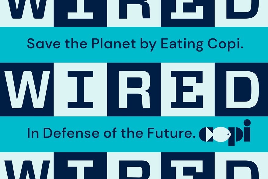 Wired logo repeated with the text Save the Planet by Eating Copi